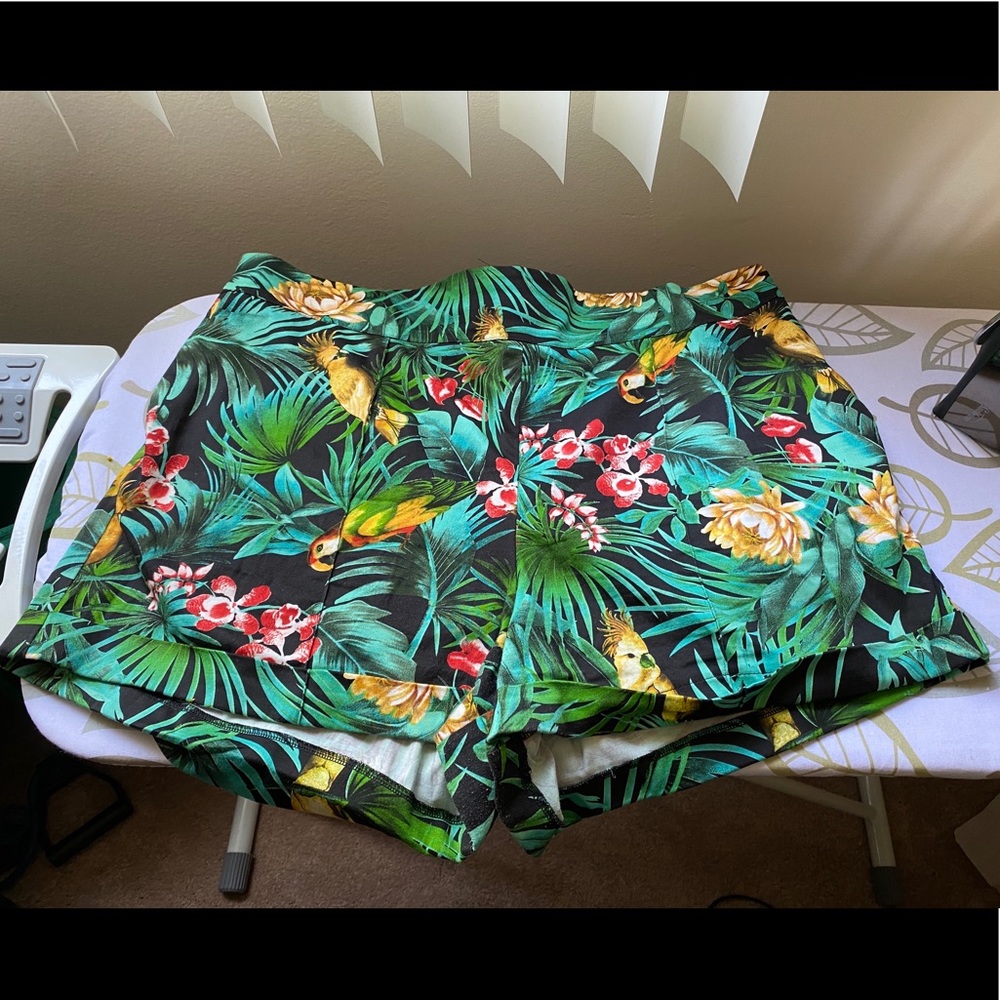 Pinup Girl Clothing high waisted shorts 3X